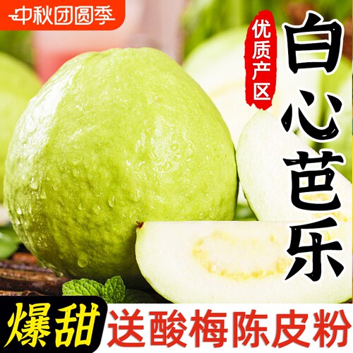白心芭乐果新鲜包邮奶油水果树上熟白乐果白肉潘石榴番石榴鲜果头