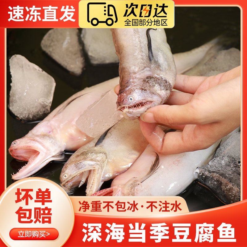龙头鱼新鲜冷冻豆腐鱼海鲜鲜活冷冻水产九肚鱼宝宝辅食水潺鱼商用