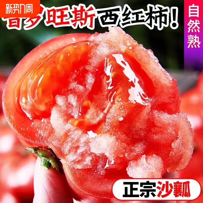 陕西泾阳普罗旺斯水果西红柿自然成熟生吃水果沙瓤柿子老味道新鲜