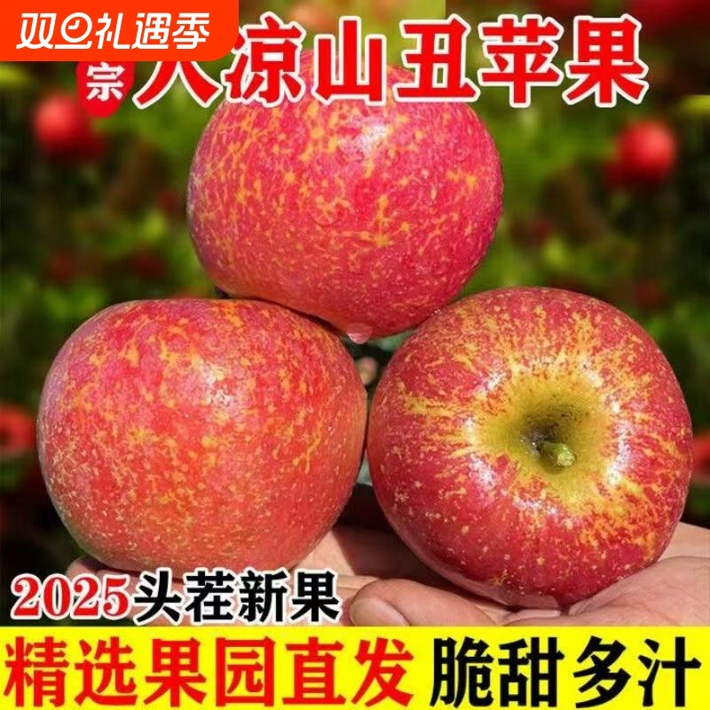 大凉山丑苹果正宗盐源糖心红富士脆甜现摘现发孕妇鲜水果果园优选