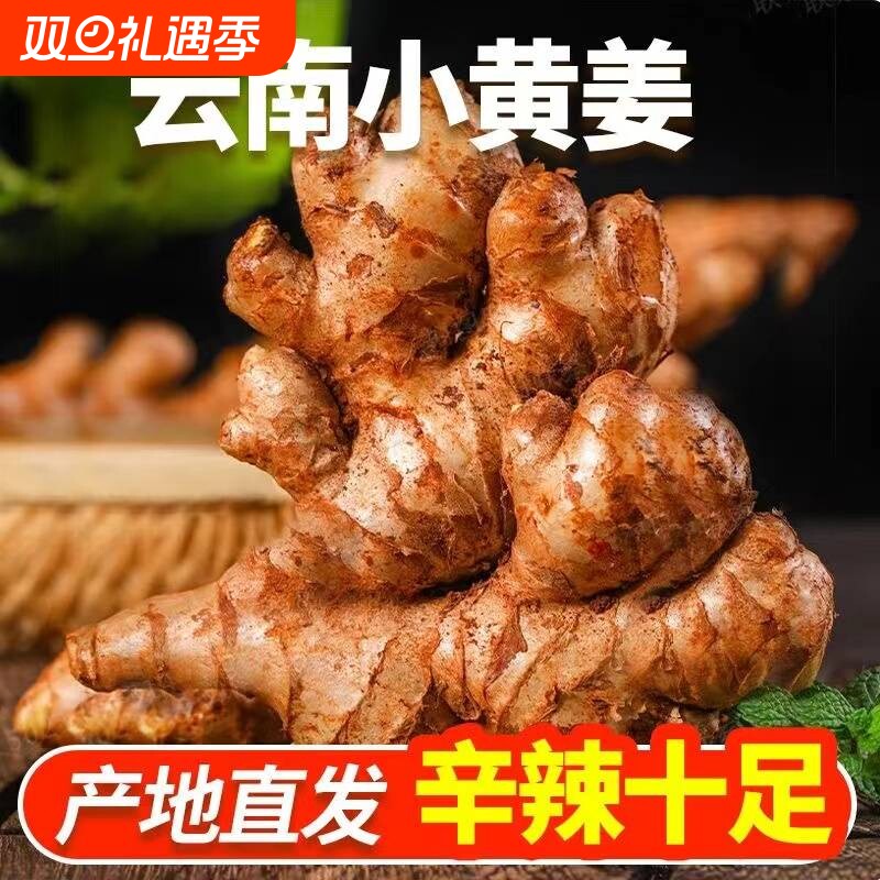 新鲜现挖云南小黄姜高山生姜鲜姜仔姜土姜姜黄辛辣蔬菜月子整箱