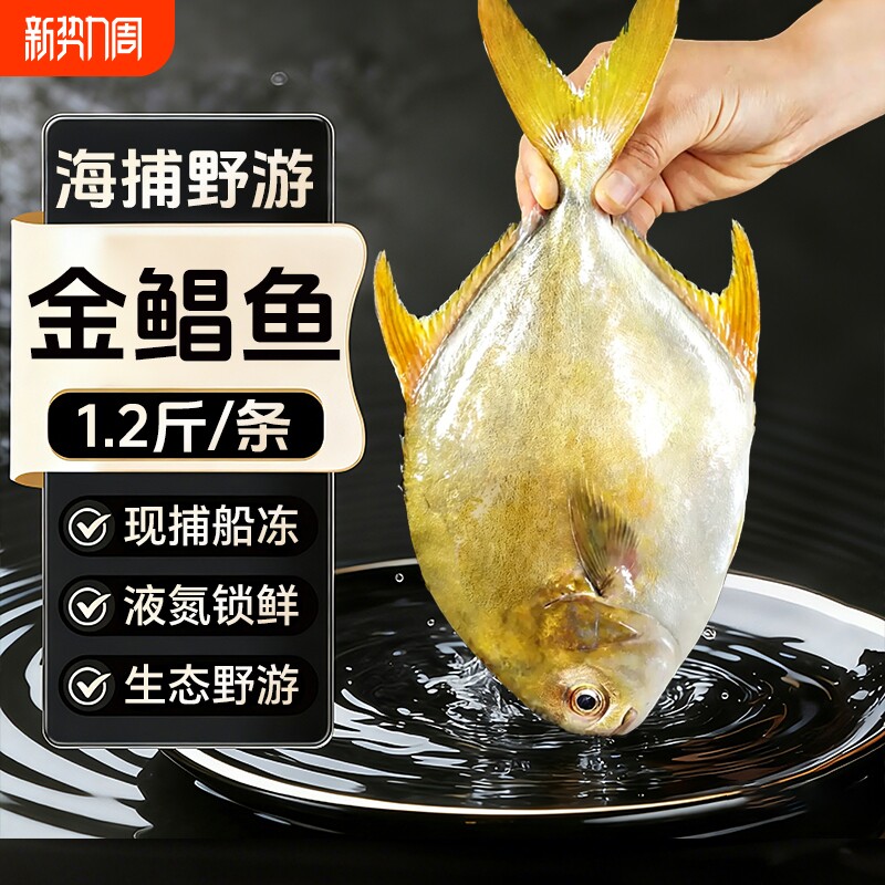 新鲜冷冻金鲳鱼生鲜金昌鱼深海鱼鲳鱼海鲜大鲳鱼水产批发年货节