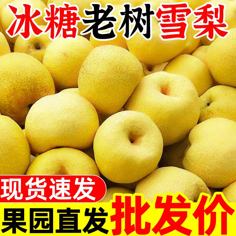 ��ժ����ѩ����������10ˮ����Ӧ����ժ��������5�ز��￾����� 5�� 150g+ 18.7Ԫ