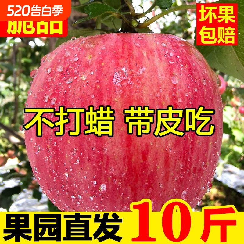 山东红富士苹果9斤新鲜水果孕妇山东苹果脆甜5斤整箱包邮