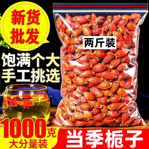 野生栀子黄栀子果中药材500g山栀子红栀子粉上色食用卤肉炒菜炖肉