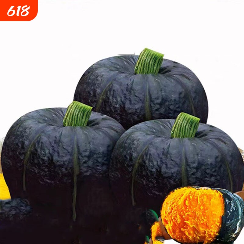 正宗贝贝南瓜板栗小南瓜春秋季瓜类蔬菜宝宝辅食