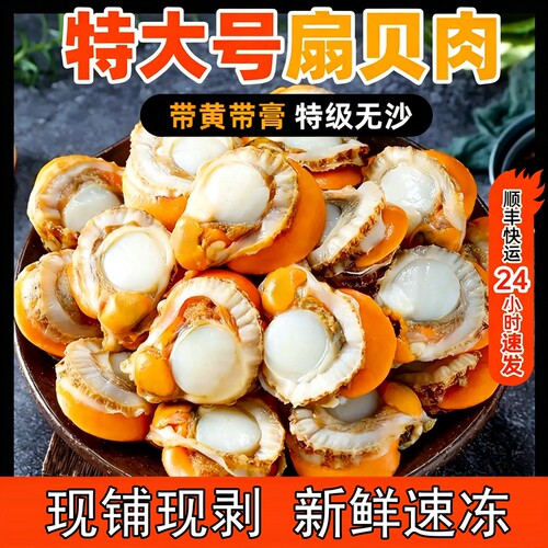汇闽优大号扇贝肉500g