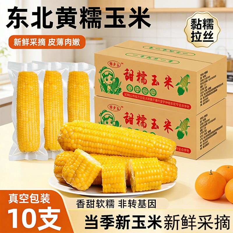 东北黄糯玉米新鲜采摘软糯香甜黄苞米主食早餐代餐低脂真空装当季