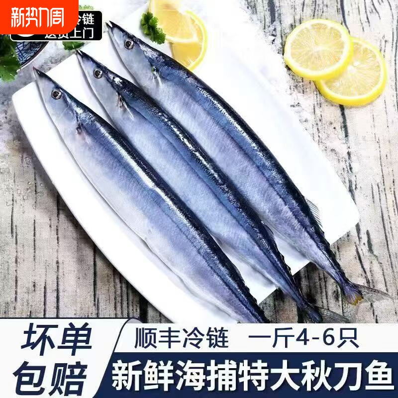 秋刀鱼新鲜海捕野生深海鱼日式鲜活冷冻海鲜烧烤整箱食材批发水产