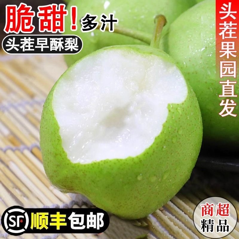 【顺丰包邮】头茬早酥梨5斤应季青皮梨新鲜水果脆甜多汁现摘现发