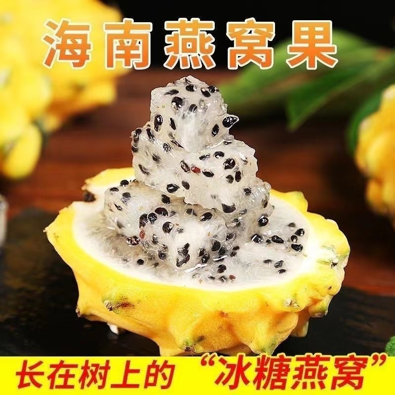 海南麒麟燕窝果5斤新鲜当季现摘黄金热带水果甜糯多汁非火龙果