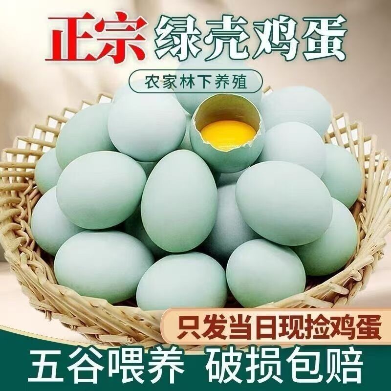农家散养绿壳新鲜正宗土鸡蛋自养鸡营养早餐鸡蛋绿壳蛋鲜鸡蛋