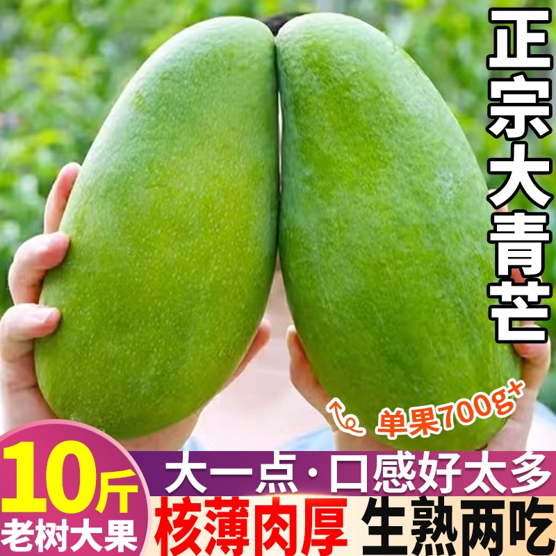 正宗大青芒10斤当季新鲜现摘现发水果特大青皮芒果薄核金煌芒包邮