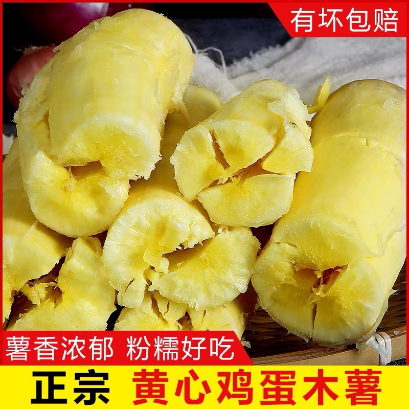 黄心木薯新鲜现挖广西特产