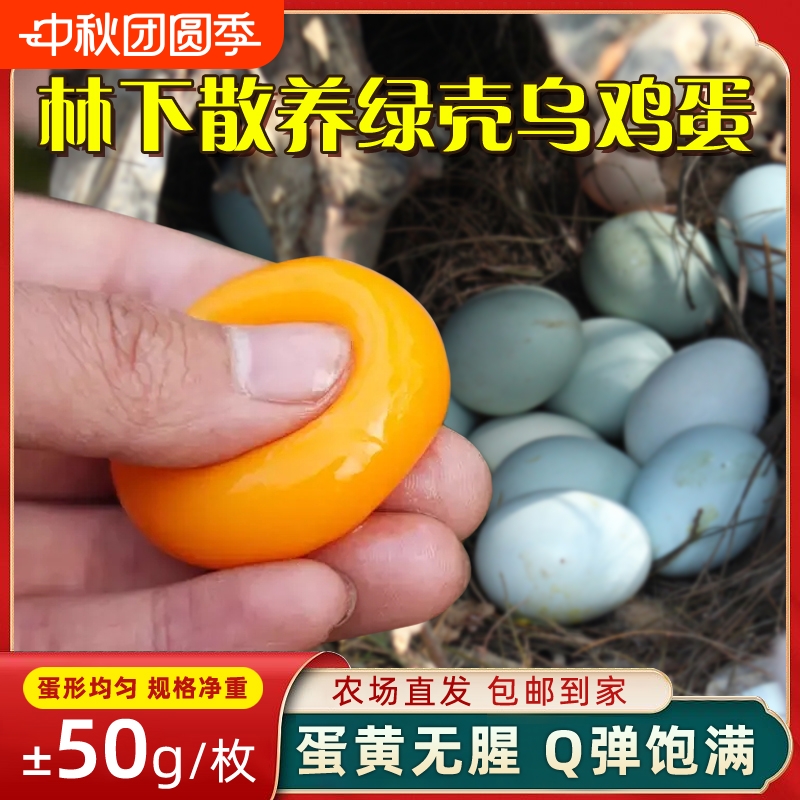 大别山散养乌鸡蛋绿壳鸡蛋