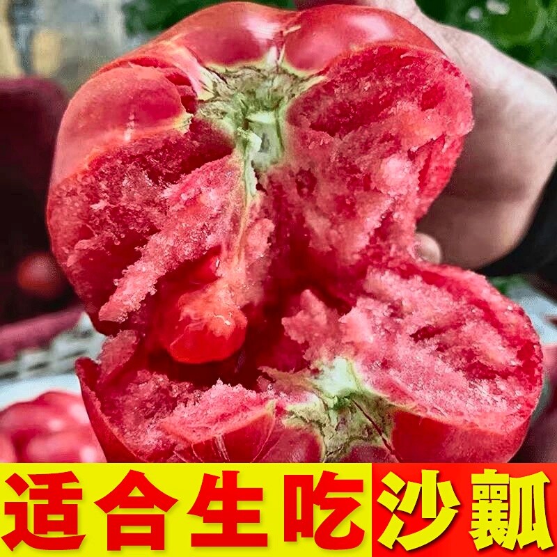 甘肃沙漠沙瓤西红柿现摘现发口口爆汁酸甜可口原产地直发京东包邮