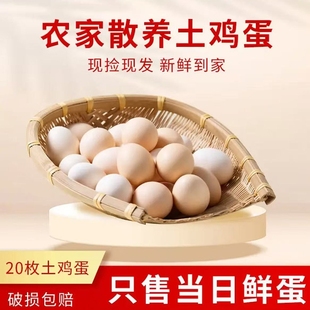 农家谷物鸡蛋新鲜农家散养土鸡蛋柴鸡蛋笨鸡蛋鲜鸡蛋现捡45g50枚