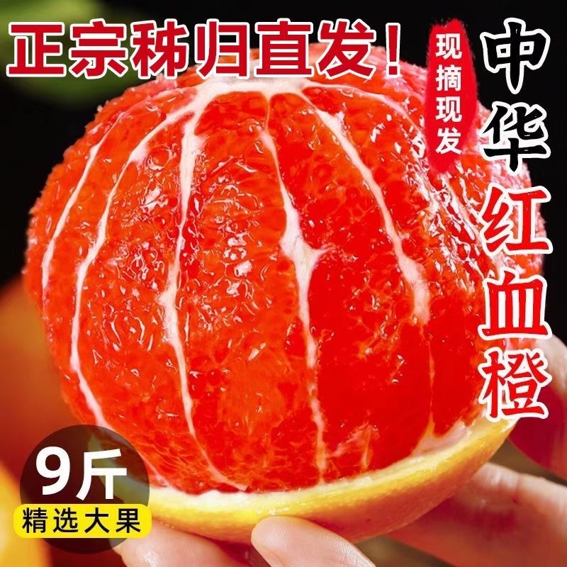 【正宗】高山血橙四川红心血橙新鲜水果当季红心橙子薄皮秭归血橙,水产肉类/新鲜蔬果/熟食,橙,淘宝优惠券,粉丝福利购,淘宝优惠卷