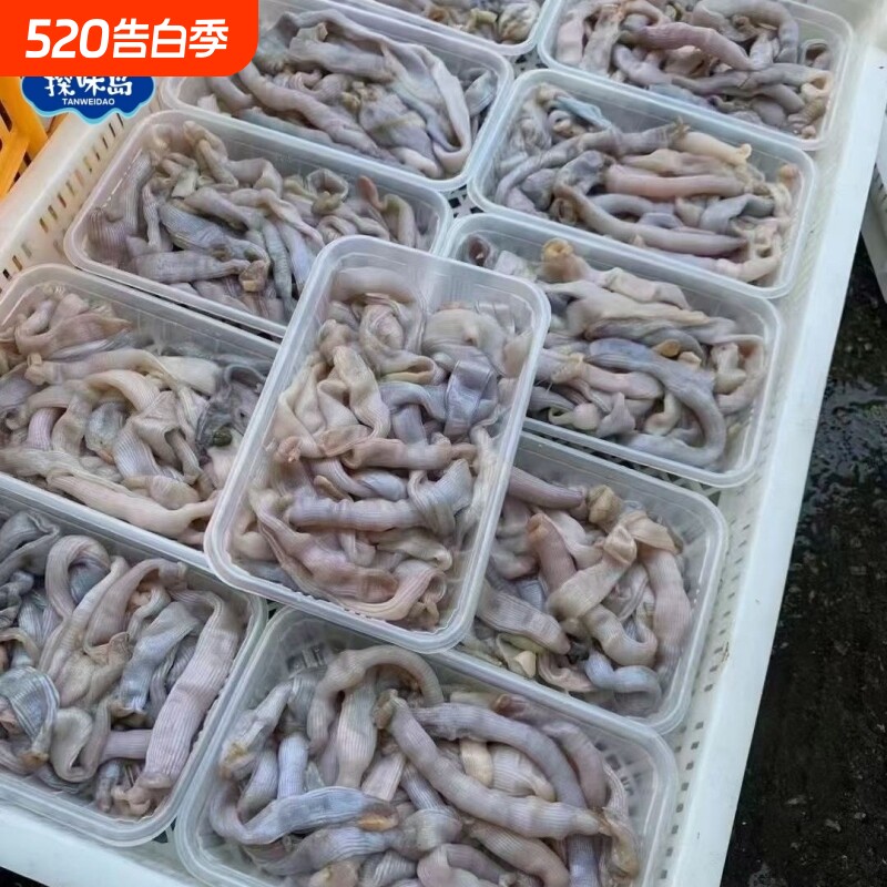 探味岛【顺丰包邮】福建东山岛新鲜活冻沙虫鲜活沙蚕去肚去沙海肠