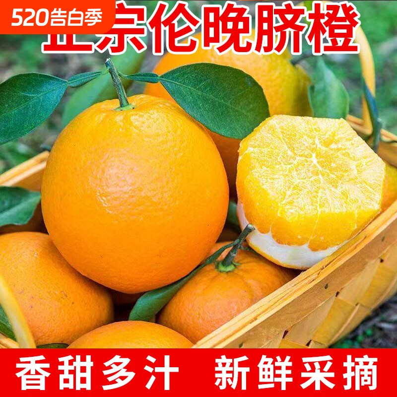 正宗秭归脐橙现摘新鲜水果橙子果冻橙手剥冰糖甜橙应当季整箱橙意