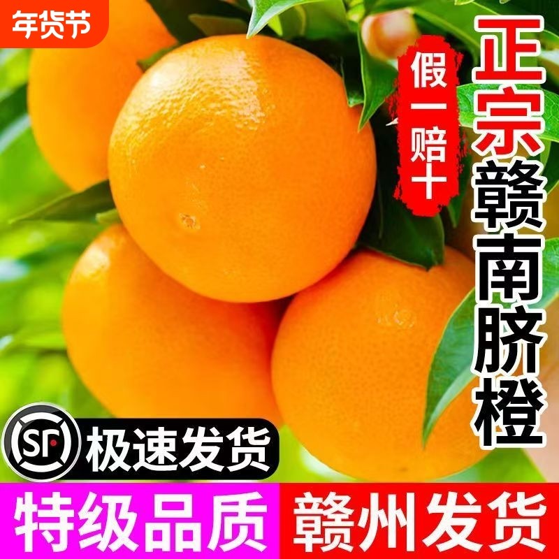 【顺丰彩箱】赣南脐橙江西赣州橙子新鲜应季水果现摘甜脐橙手剥橙