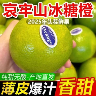 正宗云南哀牢山冰糖橙*4.5斤(60mm+)