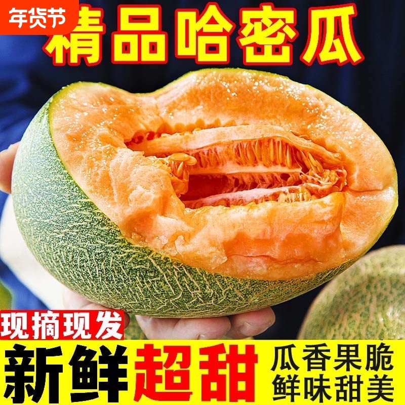 海南农家新鲜哈密瓜当季水果包邮现摘网纹瓜西州蜜瓜时令原产地,水产肉类/新鲜蔬果/熟食,哈密瓜,淘宝优惠券,粉丝福利购,淘宝优惠卷