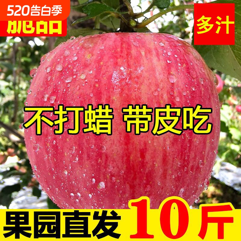 正宗红富士苹果丑苹果脆甜应季当季孕妇新鲜水果一整箱批发价