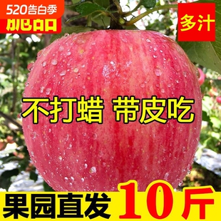 正宗红富士丑苹果脆甜多汁孕妇水果整箱批发