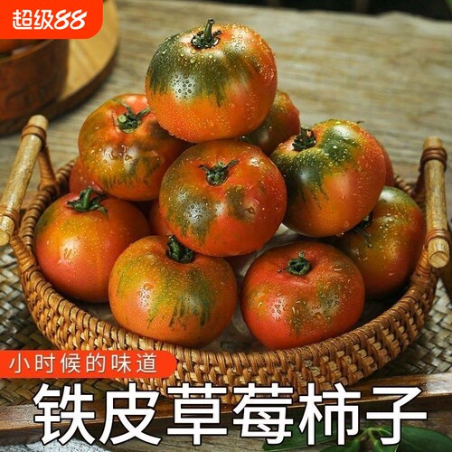 自家种植铁皮草莓西红柿