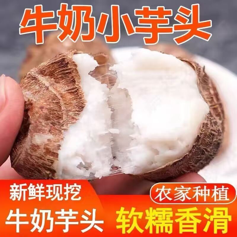 山东正宗牛奶小芋头新鲜蔬菜山东红芽毛芋头当季芋艿香芋产地直发