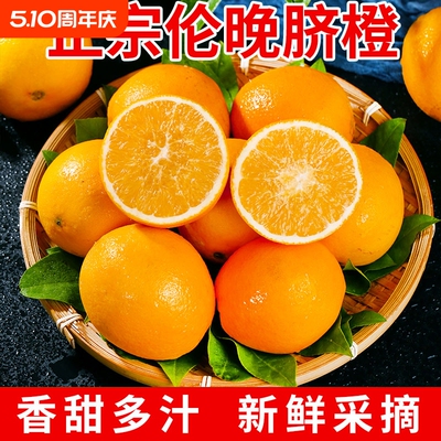 正宗秭归伦晚脐橙新鲜当季水果手剥果冻橙子冰糖甜橙大果整箱包邮