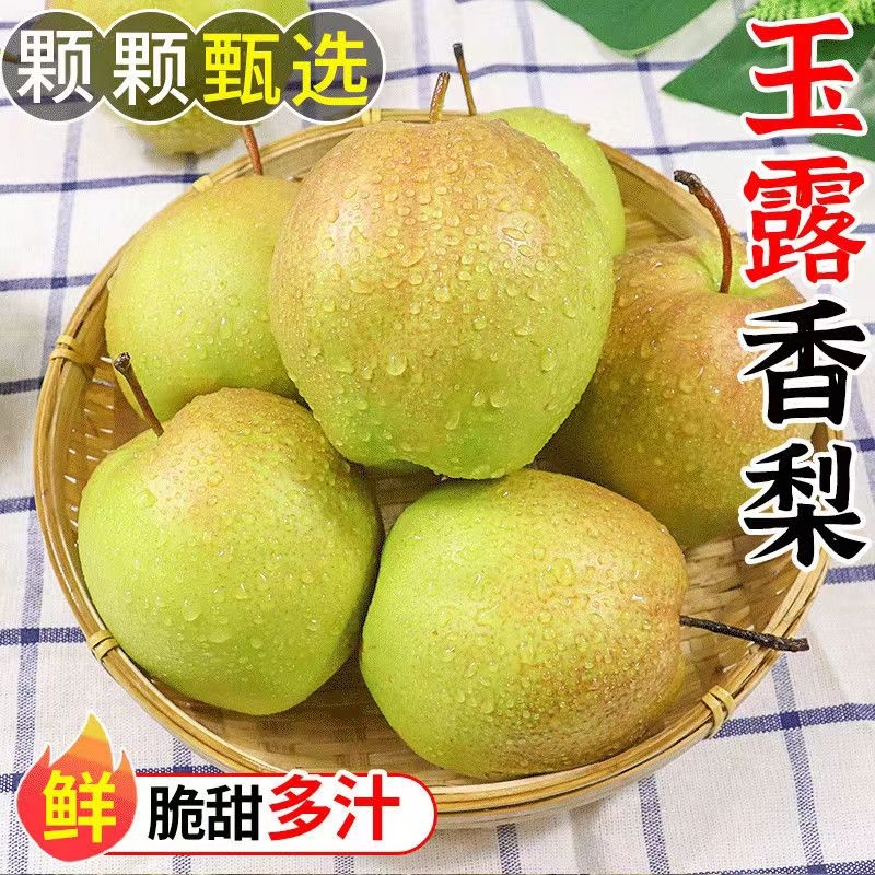 正宗脆甜玉露香梨新鲜整箱青皮当季水果脆甜批发薄皮梨子酥梨