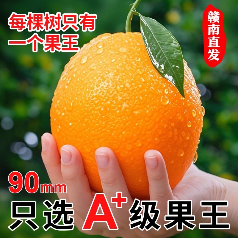 5�� 75-80mm �������10��һ������