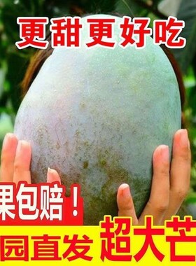 凯特芒果青皮应季攀枝花新鲜水果甜果王妃大果肉厚汁甜批发划算