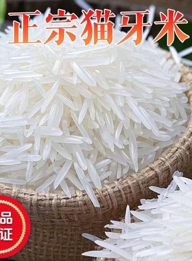 正宗猫牙香米广西上林一级大米2025年新米长粒香米丝苗米生态大米