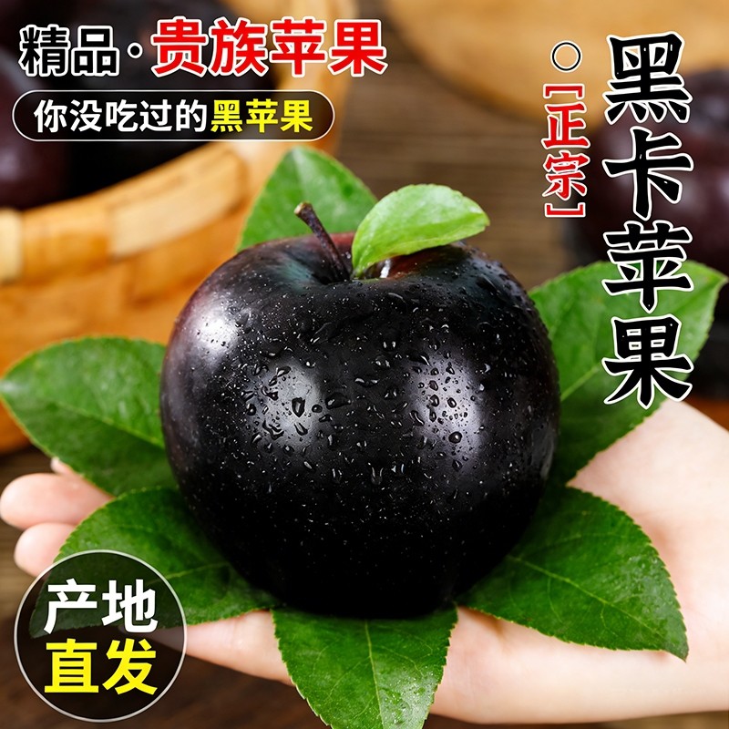 正宗黑卡苹果水果9斤整箱包邮红蛇果新鲜当季脆甜冰糖甘肃平安果,水产肉类/新鲜蔬果/熟食,苹果,淘宝优惠券,粉丝福利购,淘宝优惠卷