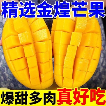 新鲜广西金煌芒5斤大青芒果水果整箱金煌应季当季百色青芒果产地