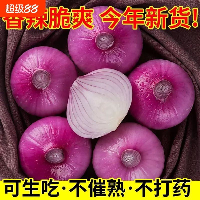 现挖紫皮洋葱新鲜洋葱头生吃货农家自种蔬菜红皮圆葱丰富营养多汁
