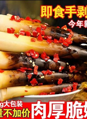 手剥笋开袋即食厂家直销网红泡椒香辣笋尖嫩笋新鲜不辣汤味大包装
