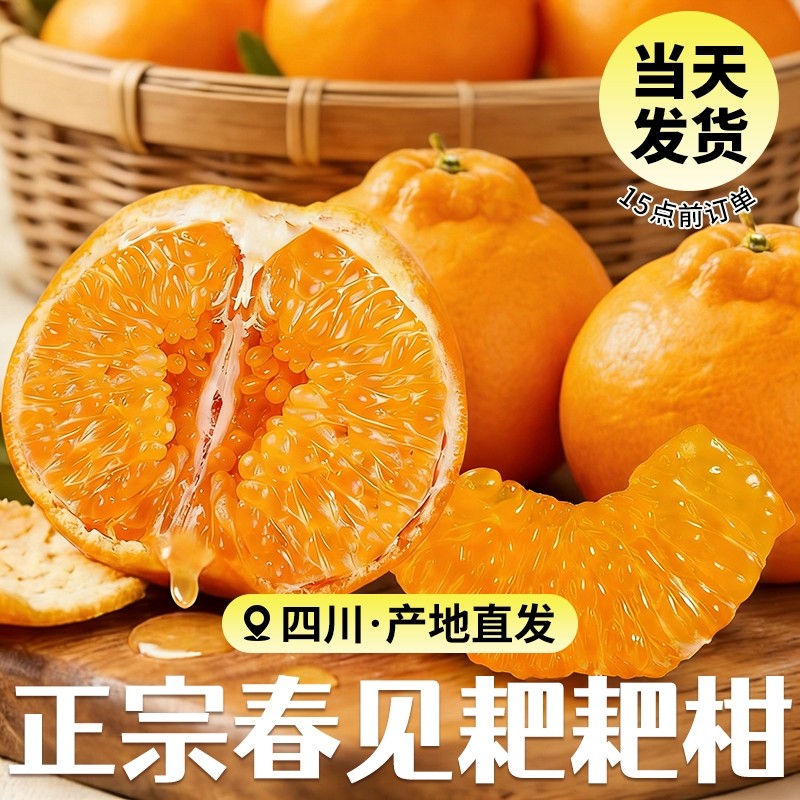 四川春见耙耙柑新鲜水果当季整箱正宗橘子丑柑橘粑粑柑桔大果包邮,水产肉类/新鲜蔬果/熟食,桔子,淘宝优惠券,粉丝福利购,淘宝优惠卷