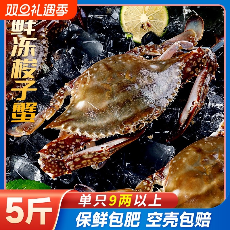 舟山新鲜梭子蟹活冻特大野生海鲜大螃蟹冷冻海蟹水产飞蟹白蟹公蟹