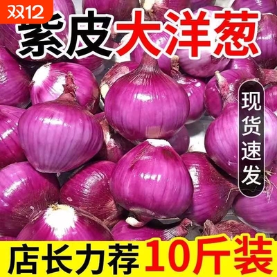 正宗紫皮洋葱圆葱葱头新鲜应季蔬菜农家甜可生吃当季自种种植生鲜