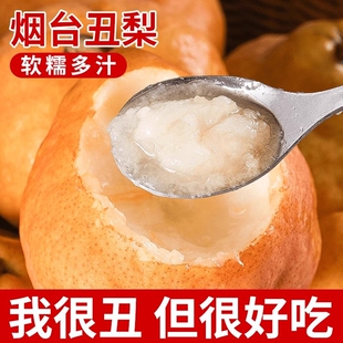 山东中华丑梨软糯太婆梨啤梨当季新鲜水果大头梨孕妇老人小孩水果