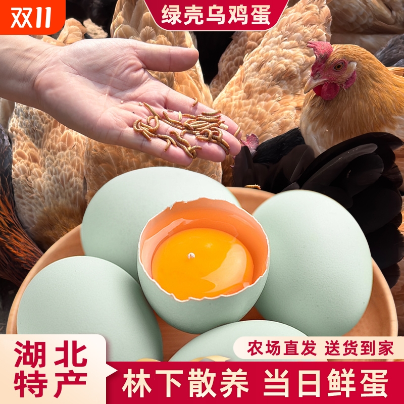 精选大别山乌鸡蛋营养高口感好