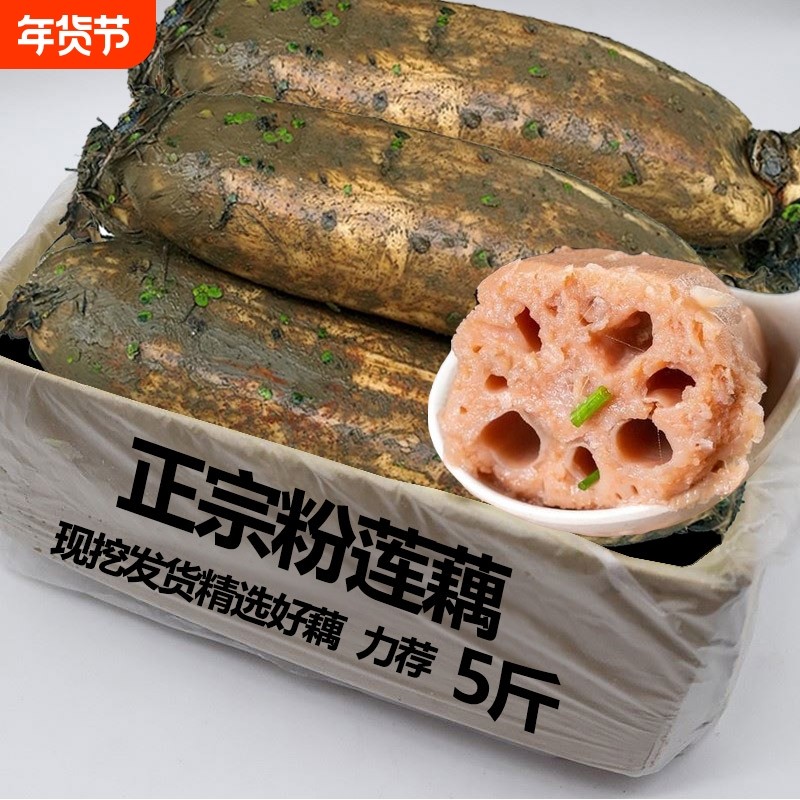 不粉包赔正宗湖北洪湖莲藕新鲜现挖煲汤粉藕桂花藕粉糯米藕九孔藕