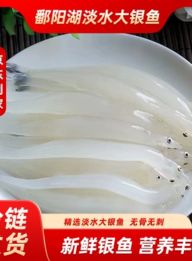 京东包邮鄱阳湖新鲜大银鱼冷冻水产淡水鱼食材辅食蒸蛋140/袋鲜活