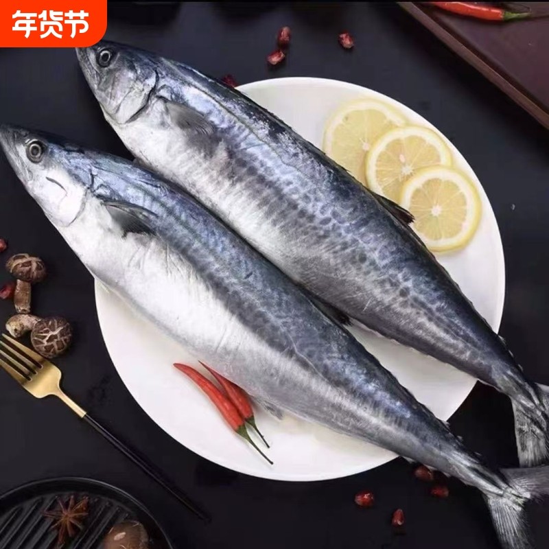 新鲜大号鲅鱼鲐鲅鱼马鲛鱼大整条冷冻青花鱼海鲜海鱼批发商用生鲜,水产肉类/新鲜蔬果/熟食,马鲛鱼,淘宝优惠券,粉丝福利购,淘宝优惠卷