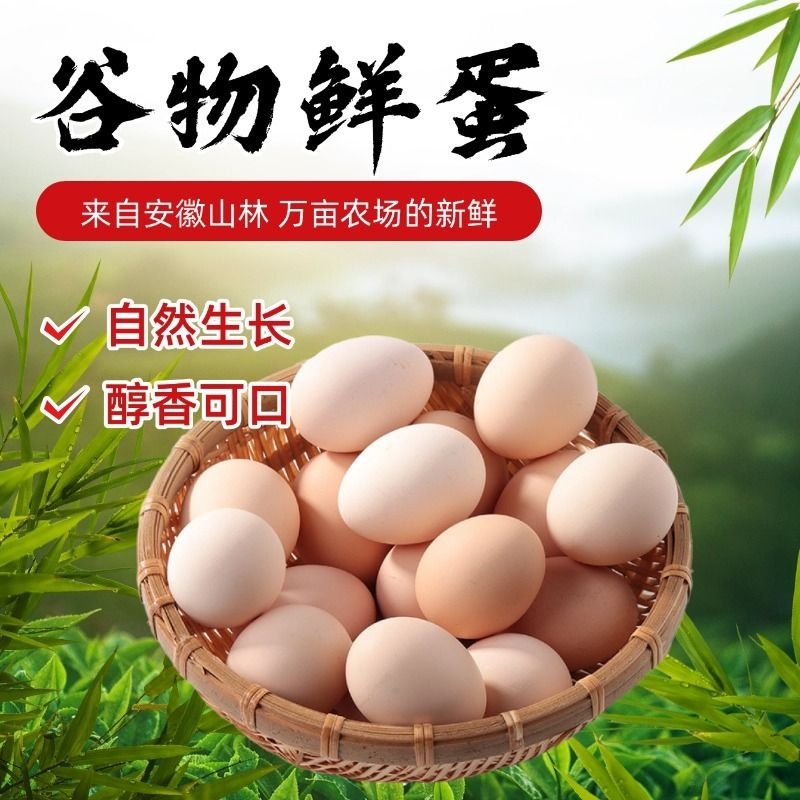 正宗农场土鸡蛋50枚-单枚45g-50g左右-无激无抗无色素新鲜鸡蛋