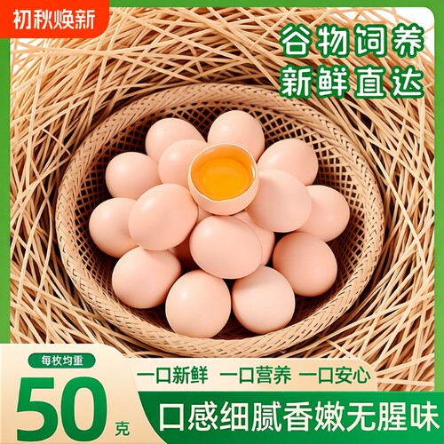 新鲜鸡蛋谷物饲养农场鲜草谷物蛋美味早餐蛋